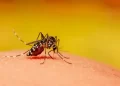 El Gobierno evita politizar el problema pero el Dengue ya es una epidemia histórica