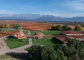 Finca Decero, la bodega mendocina sustentable que tenés que conocer