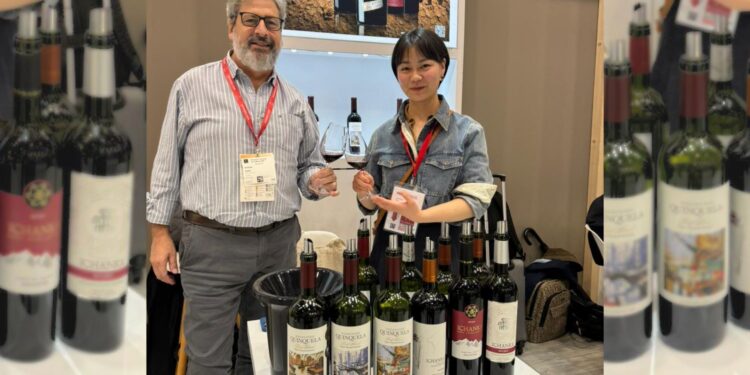 Las claves para el mercado internacional de vinos 2024 de la mano de Andrew Noble