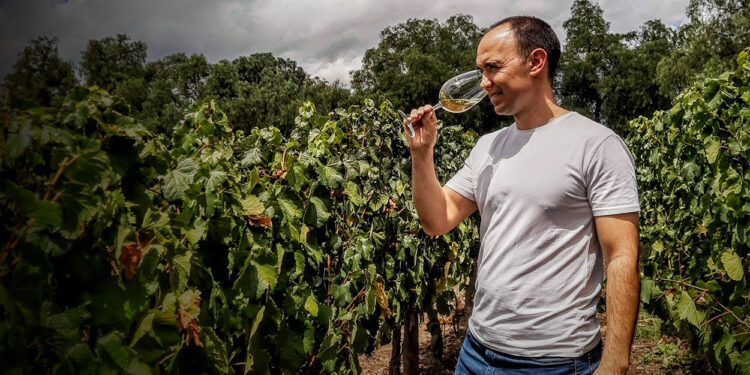Germán Buk: “Cuando hacés vinos de lugares tan precisos y tan únicos, el mayor desafío es que te transporte al lugar”