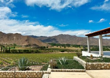 Carla Morizzio, propietaria de Bodega Puna: “Estamos pensando en formar una Asociación de Mujeres Bodegueras”