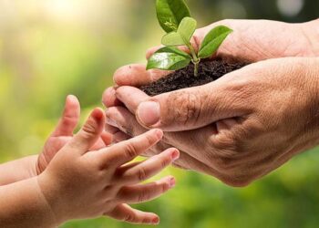 “Ecológico, sí pero”: estos pequeños arreglos con nuestras conciencias