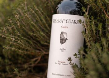 Exóticos viñedos al sur: la bodega Ribera del Cuarzo despega de la Patagonia argentina al mundo