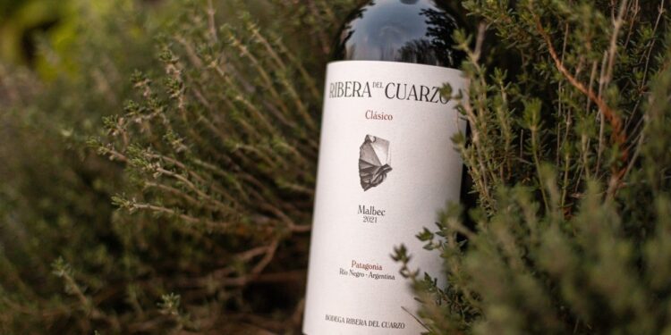 Exóticos viñedos al sur: la bodega Ribera del Cuarzo despega de la Patagonia argentina al mundo