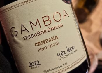 Pinot Noir 2022 de bodega Gamboa alcanzó el mayor puntaje para un vino bonaerense 