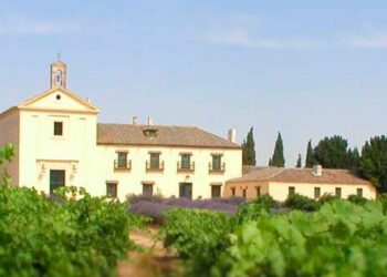La tierra del vino