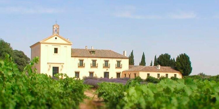 La tierra del vino