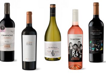 Cinco Vinos para Brindar con Amigos en el Día del Amigo