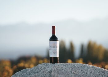 Tesoro Malbec ganó la medalla de oro como mejor vino argentino 2024