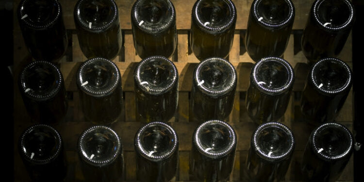 Vacaciones de invierno en Bodega Cruzat: experiencias para disfrutar en familia