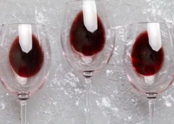 Terroir Noir: la historia colonial oculta del vino necesita ser descorchada
