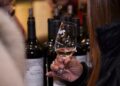 Llega la décima edición de Feria de Vinos Orgánicos y Sustentables