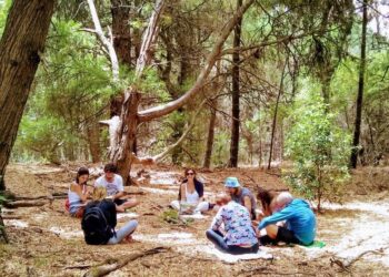 Baños de bosque: conexión sensorial y emocional con la naturaleza