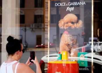 Dolce & Gabbana lanza Fefé, una bruma perfumada para perros