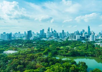 Ciudades salvajes para reconciliar naturaleza y sociedad