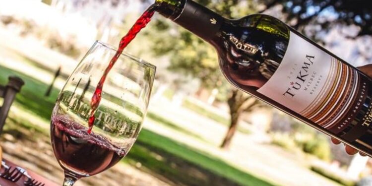 La transformación del turismo en Salta: un enfoque en el enoturismo