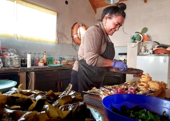 Amar Algas el proyecto vital de la cocinera y recolectora Carola Puracchio