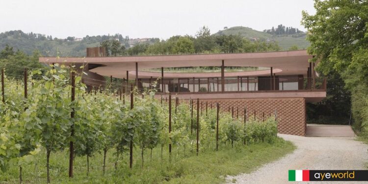 Bodegas Ceresè: Arquitectura poética entre viñedos y geometría