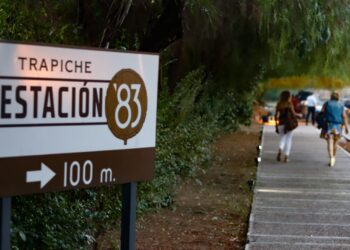 Bodega Trapiche brilla en la escena internacional con premio en Best of Mendoza’s Wine Tourism