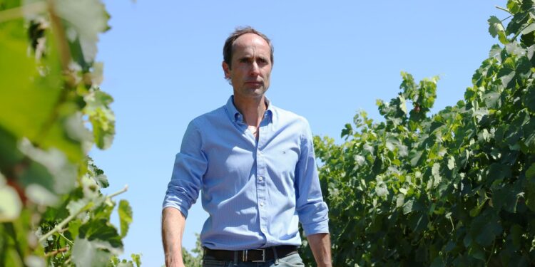 Marcelo Belmonte: El vino sin alcohol, no es vino
