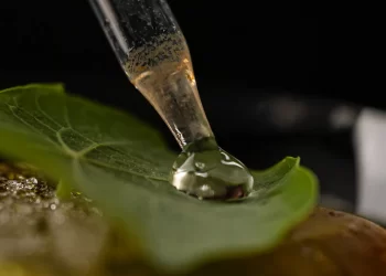 The World’s 50 Best Bars: el mejor bar del mundo está en Ciudad de México