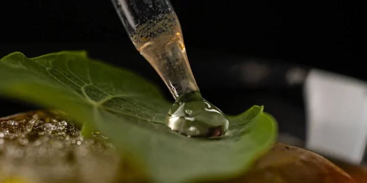 The World’s 50 Best Bars: el mejor bar del mundo está en Ciudad de México