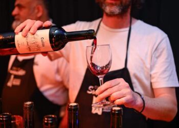 Se realizó el 7° Encuentro de Productores Vitivinícolas de la Provincia de Buenos Aires en Malvinas Argentinas