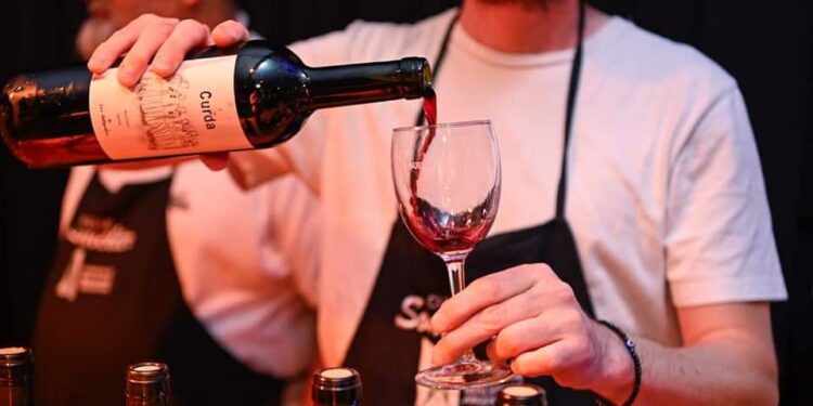 Se realizó el 7° Encuentro de Productores Vitivinícolas de la Provincia de Buenos Aires en Malvinas Argentinas