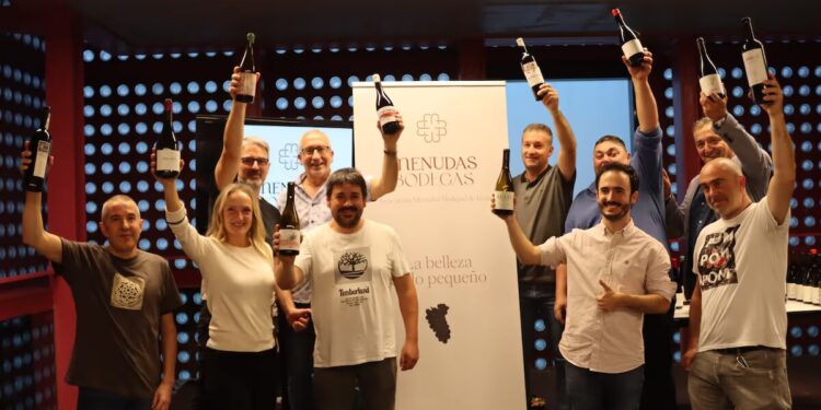 Una nueva asociación de bodegas reivindica la artesanía a la DO que más vino vende en España