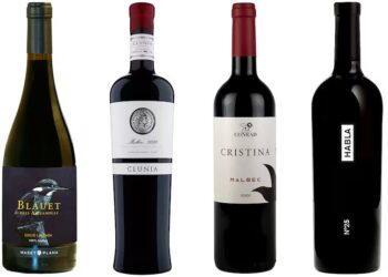 Seis vinos tintos expresivos de la ‘mediocre’ uva malbec