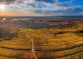 Tokaj, la región húngara cuyos vinos conquistaron a reyes