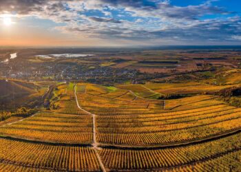 Tokaj, la región húngara cuyos vinos conquistaron a reyes