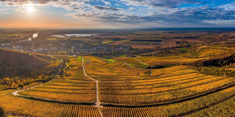 Tokaj, la región húngara cuyos vinos conquistaron a reyes