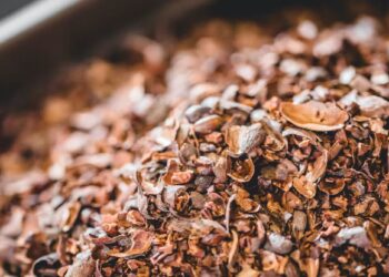 Cáscara de cacao, de residuo a materia prima para la obtención de bioplásticos