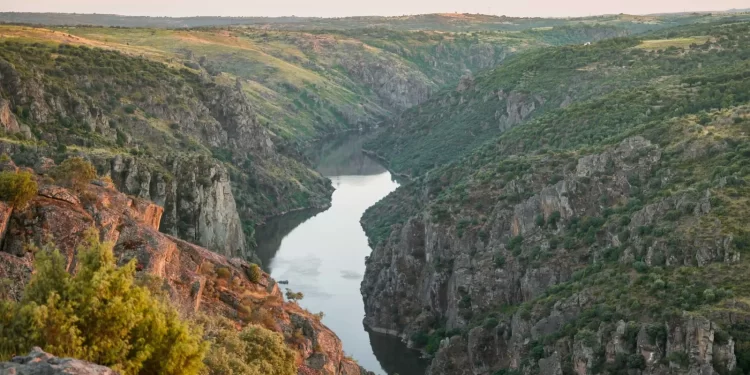 Los mejores destinos del vino