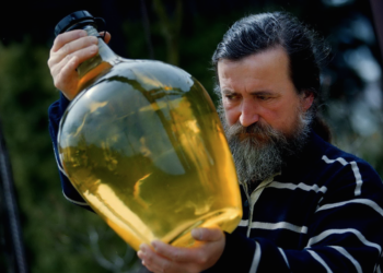 Wino Solidarnosc – La revolución del vino en Polonia