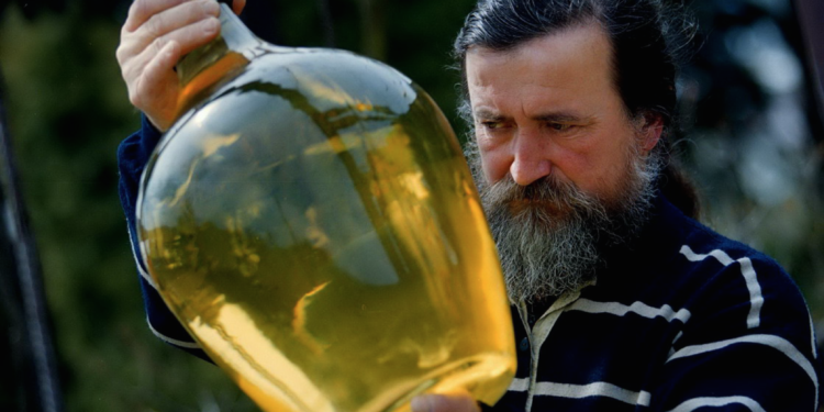 Wino Solidarnosc – La revolución del vino en Polonia