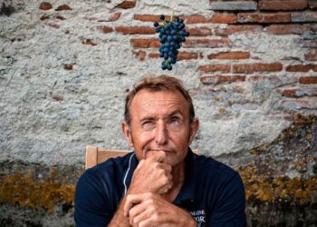 Cómo aprovechar el renacimiento del Malbec en el Pays d’Oc IGP de Francia