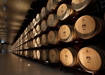 Vino español y capital chino: la bodega Marqués del Atrio habla mandarín