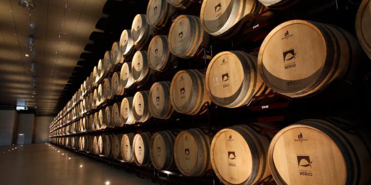 Vino español y capital chino: la bodega Marqués del Atrio habla mandarín
