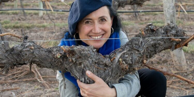 Lo que los titulares no entienden correctamente sobre el alcohol y la salud