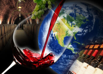 El boom de la industria del vino: qué bodegas tienen más posibilidades de triunfar