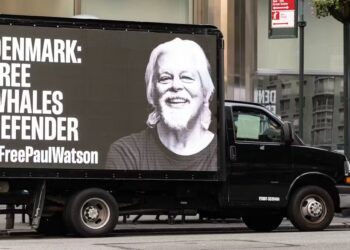 Paul Watson vs Japón: Alterando la logística y la lógica de la industria ballenera