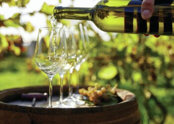 Todos los medallistas del Global Chardonnay Masters 2024