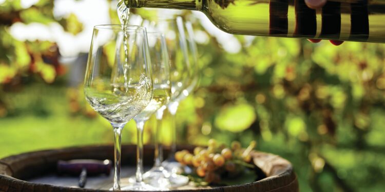 Todos los medallistas del Global Chardonnay Masters 2024