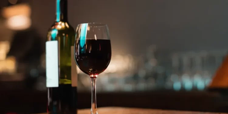 Argentina: 5 novedades para celebrar el día del vino argentino