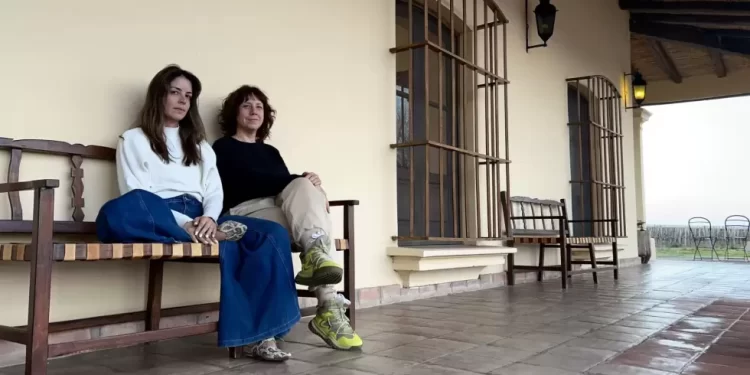 Se viene la primera edición de CatArte, aca te contamos de que se trata
