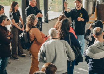 Verano: Antares abre las puertas de su planta en Mar del Plata