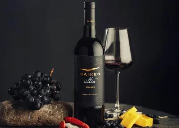 Kaiken Ultra Malbec: cómo es el mejor vino argentino según Wine Spectator?