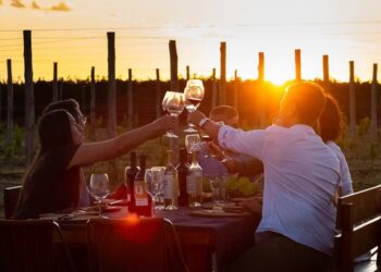 Bodegas abiertas en estas fiestas ¿Cuáles se pueden visitar el 24 y 31 de diciembre?